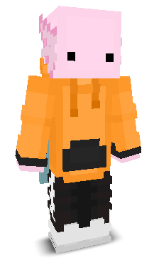 User's Minecraft appearance