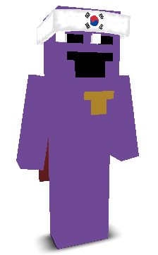 User's Minecraft appearance