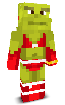 User's Minecraft appearance