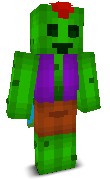 User's Minecraft appearance