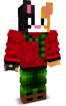 User's Minecraft appearance
