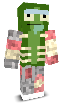 User's Minecraft appearance