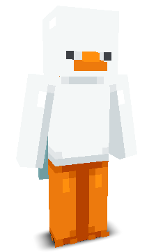 User's Minecraft appearance