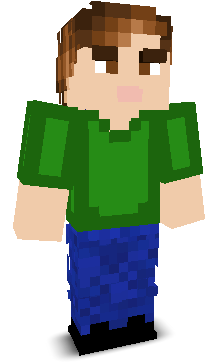 User's Minecraft appearance