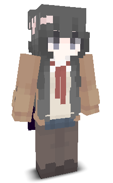 User's Minecraft appearance