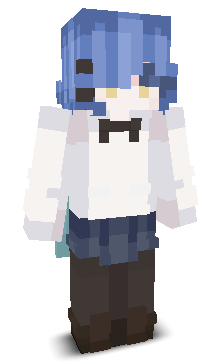User's Minecraft appearance