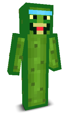 User's Minecraft appearance