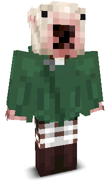 User's Minecraft appearance