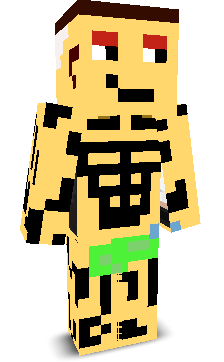 User's Minecraft appearance