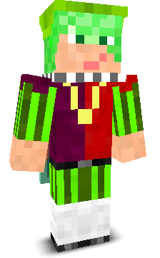 User's Minecraft appearance