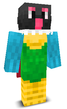 User's Minecraft appearance
