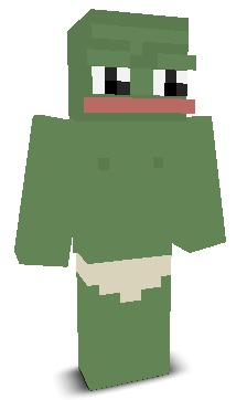 User's Minecraft appearance
