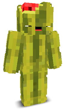 User's Minecraft appearance