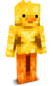 User's Minecraft appearance