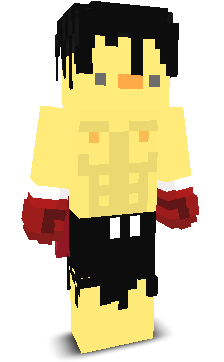 User's Minecraft appearance