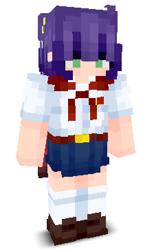 User's Minecraft appearance