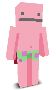 User's Minecraft appearance