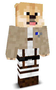 User's Minecraft appearance