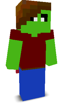 User's Minecraft appearance