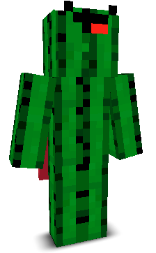 User's Minecraft appearance