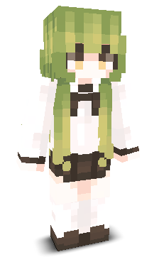 User's Minecraft appearance