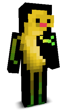 User's Minecraft appearance