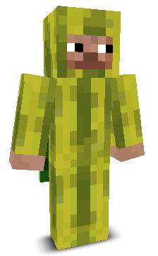 User's Minecraft appearance