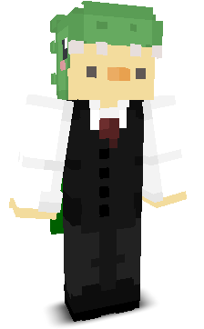 User's Minecraft appearance