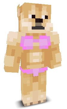 User's Minecraft appearance
