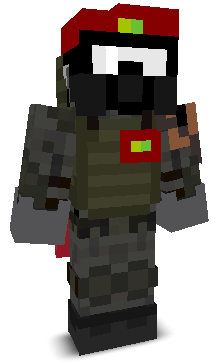 User's Minecraft appearance