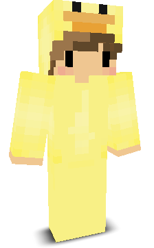 User's Minecraft appearance