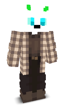 User's Minecraft appearance