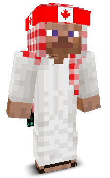 User's Minecraft appearance
