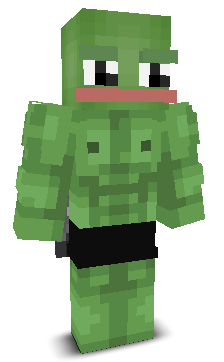 User's Minecraft appearance