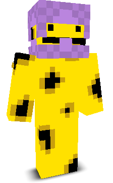 User's Minecraft appearance