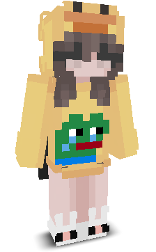 User's Minecraft appearance