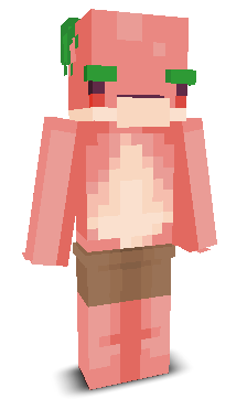 User's Minecraft appearance