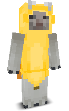 User's Minecraft appearance