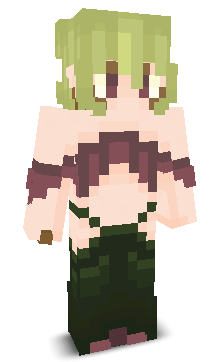 User's Minecraft appearance