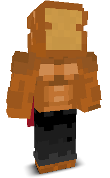 User's Minecraft appearance