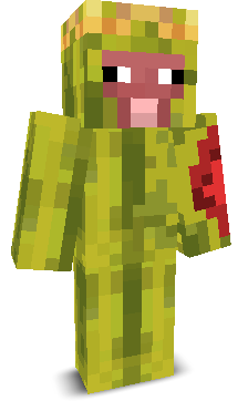 User's Minecraft appearance