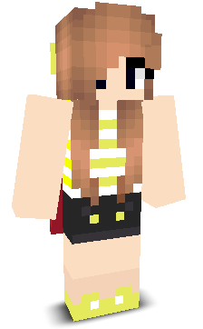 User's Minecraft appearance