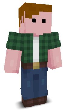User's Minecraft appearance