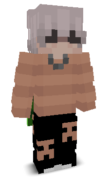 User's Minecraft appearance