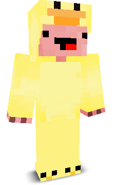 User's Minecraft appearance