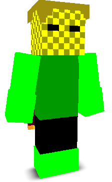 User's Minecraft appearance