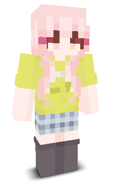 User's Minecraft appearance