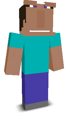 User's Minecraft appearance