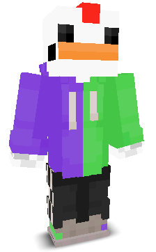User's Minecraft appearance