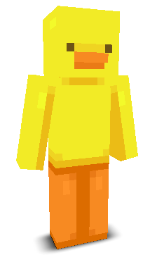 User's Minecraft appearance